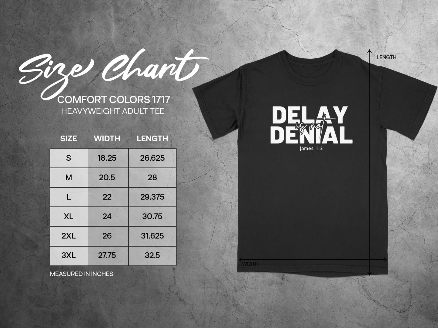Delay Denial James 1:5 Comfort Colors Adult Tee product