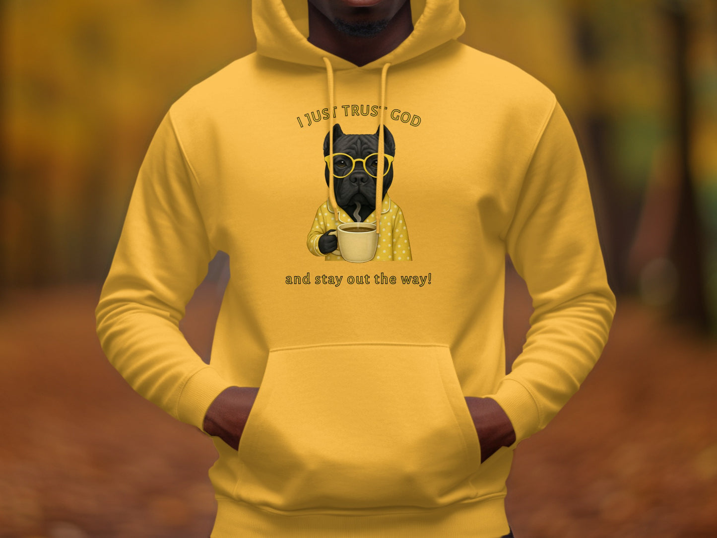 I Just Trust God and Stay Out the Way Hoodie