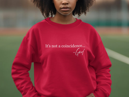 It's Not A Coincidence Quote Sweatshirt product type
