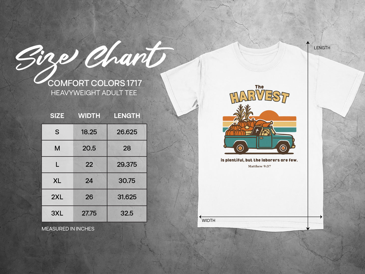 Harvest Graphic Print Comfortable White Tee