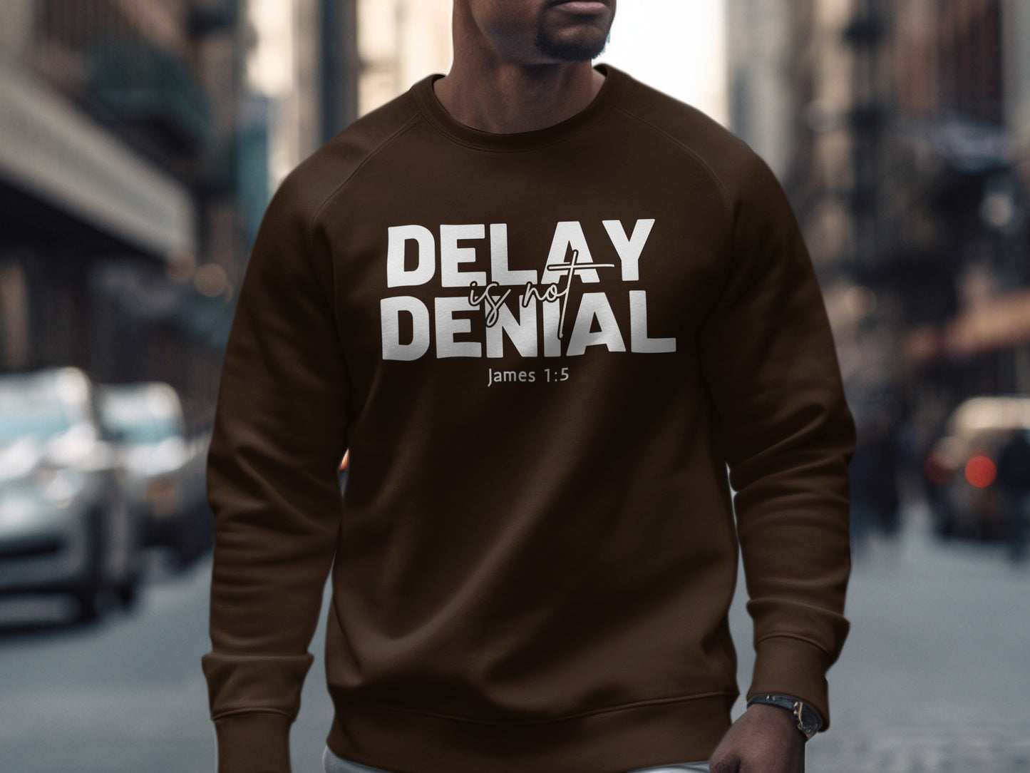 Delay Is Not Denial James 1:5 Sweater product