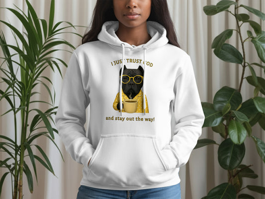 I Just Trust God and Stay Out the Way Hoodie