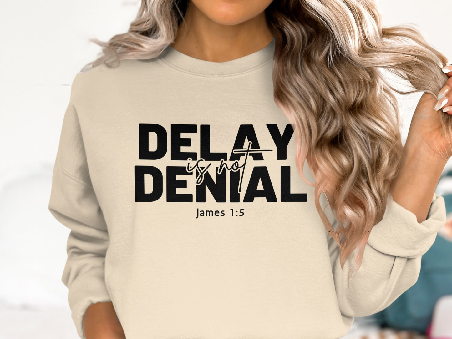 Delay Is Not Denial James 1:5 Sweatshirt product type
