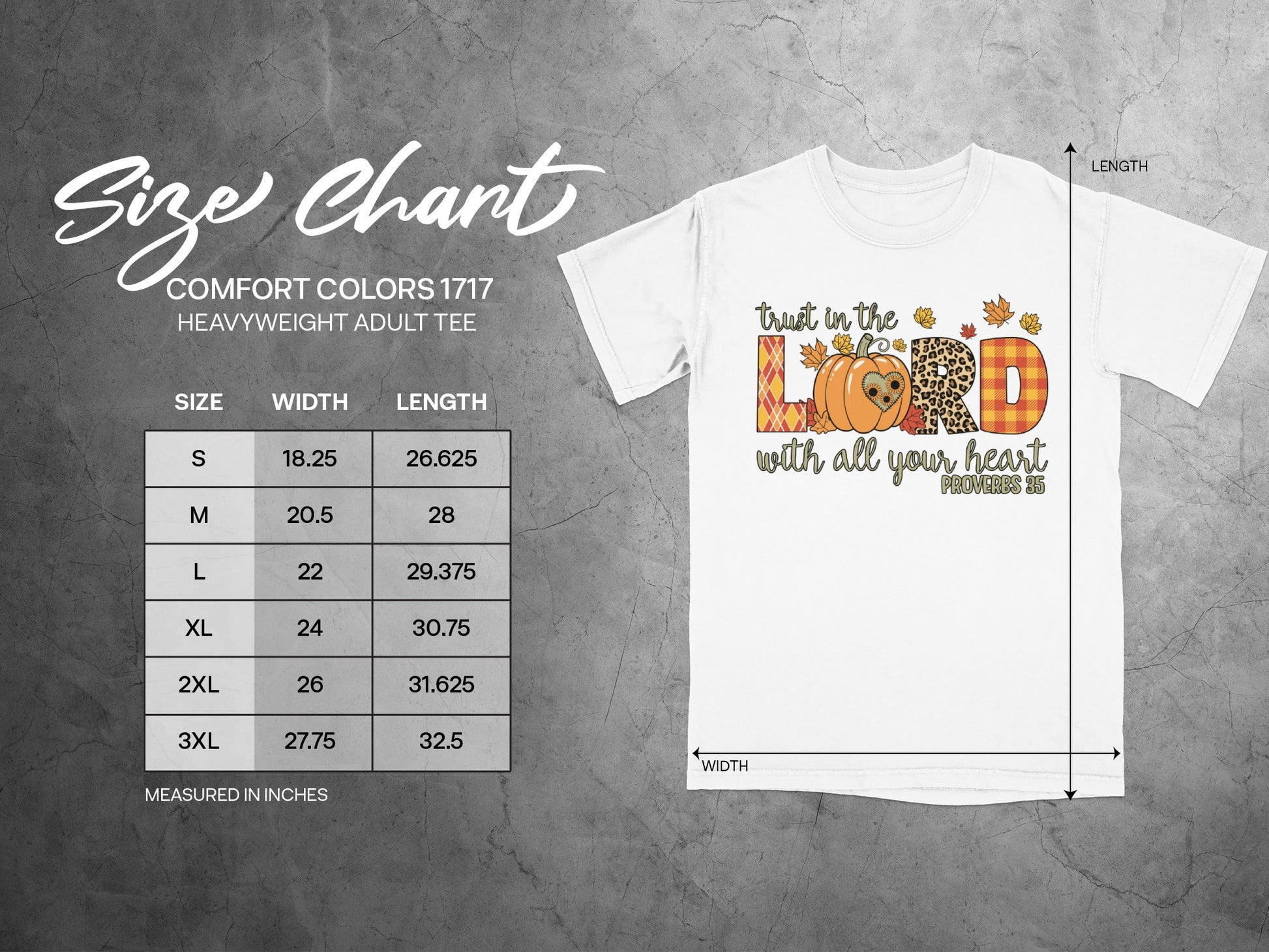 Trust in the Lord With All Your Heart Philippians 4:13 Tee