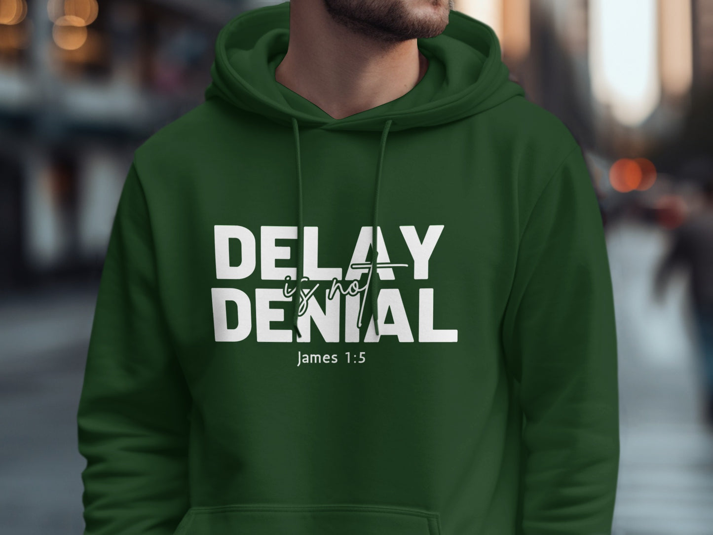 Delay Not Denial James 1:5 Printed Hoodie product