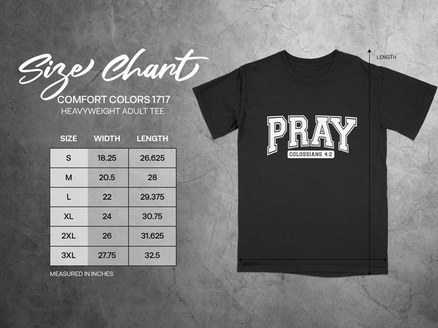 Comfort Colors 1717 Adult Tee Christian Apparel