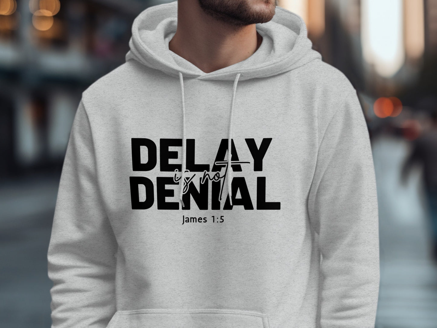 Delay Is Not Denial James 1:5 Hoodie product type